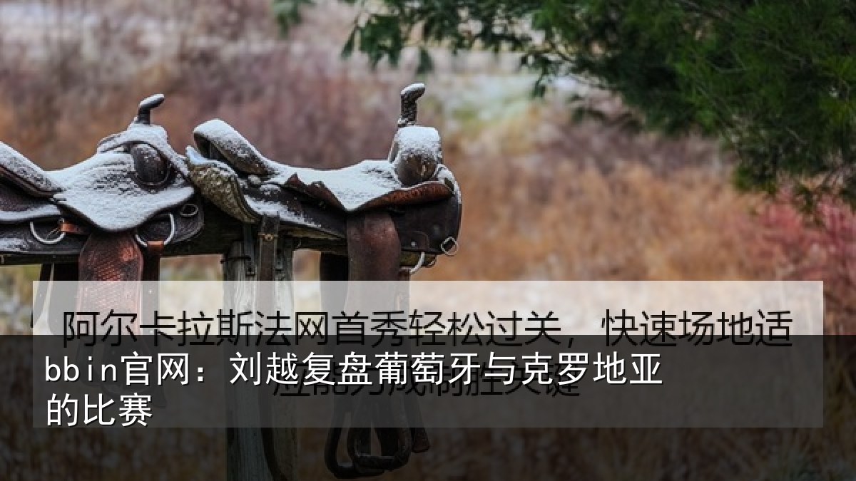 bbin官网：刘越复盘葡萄牙与克罗地亚的比赛