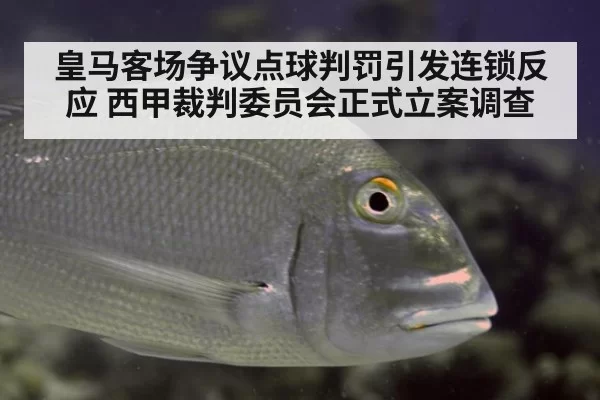 皇马客场争议点球判罚引发连锁反应 西甲裁判委员会正式立案调查