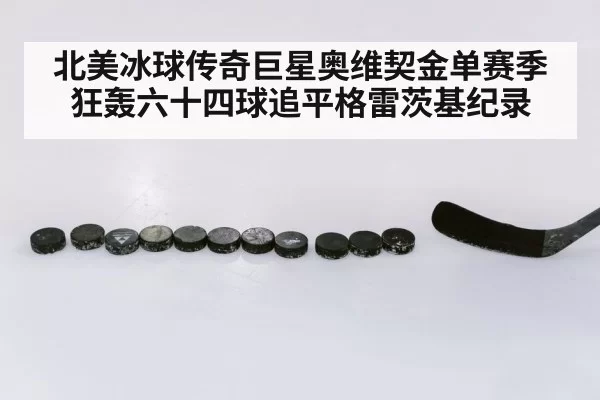 NHL ice hockey match