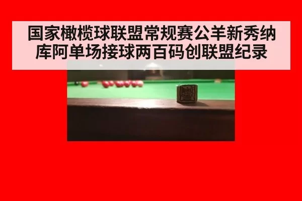 国家橄榄球联盟常规赛公羊新秀纳库阿单场接球两百码创联盟纪录
